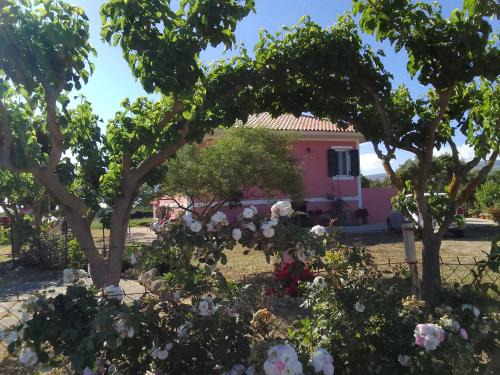 Kounopetra House | Μπλε του Ιονίου Ionian Blue