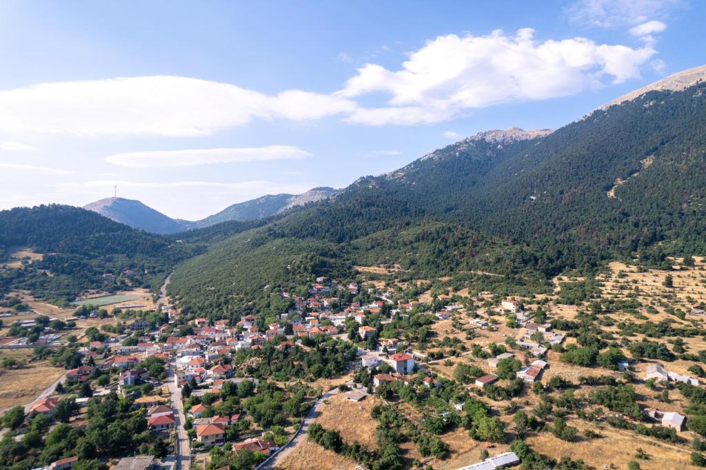 Livadia House | Παραδόσιακός Ξενώνας Το Κουτσούρι