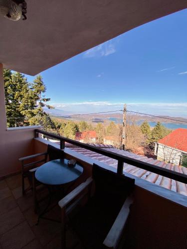 Neraida Hotel | Σκίουρος