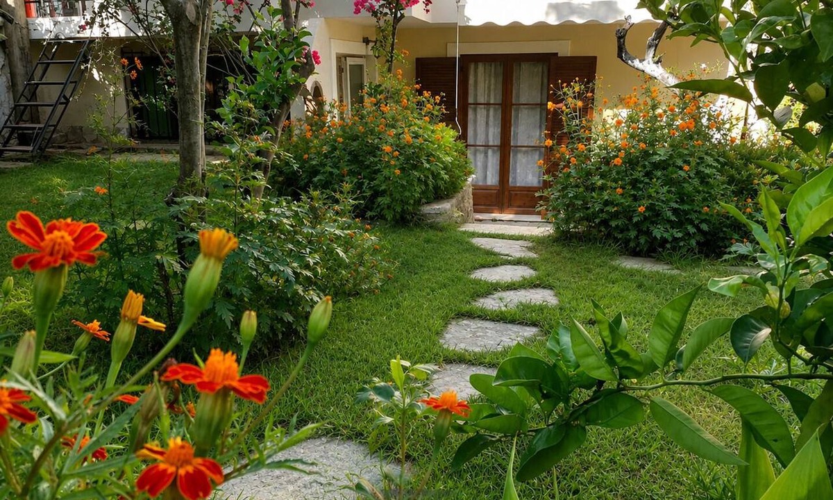Agios Gordios Cottage | Achilleas Apartment