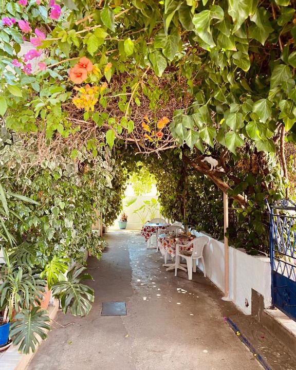 Archangelos House | Afroditi Pension