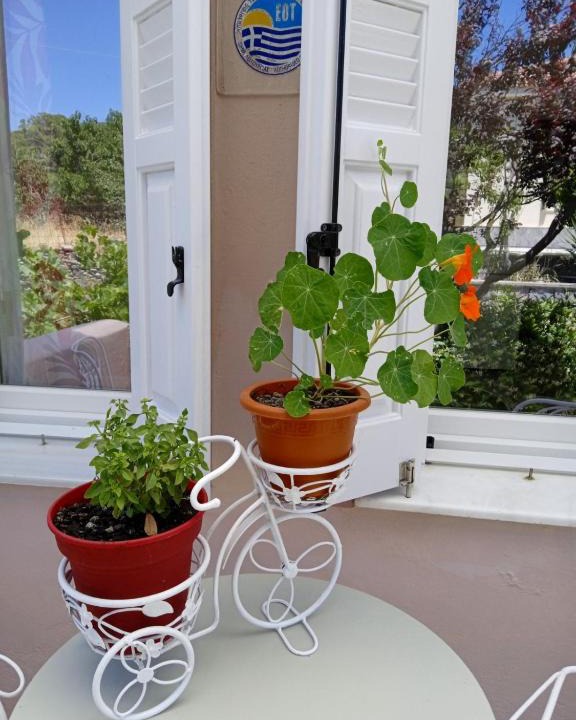 Andros Town Apartment | Andros Lighthouse Apartments