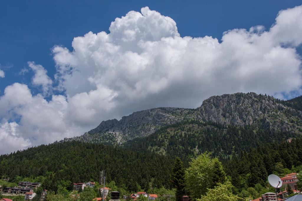 Elati Apartment | Arktos Suites
