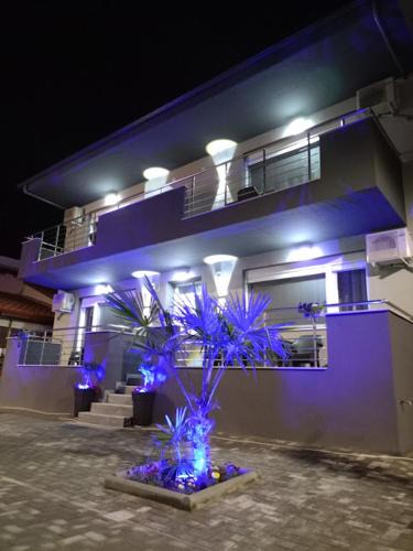 Katerini Apartment | Celestia Irene Suites 2