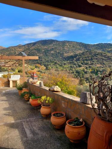 Grigoria House | Cretan Oasis