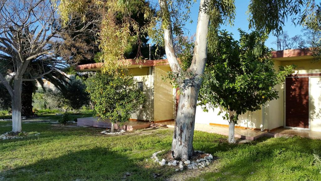 Tolo Apartment | Danaides Bungalows
