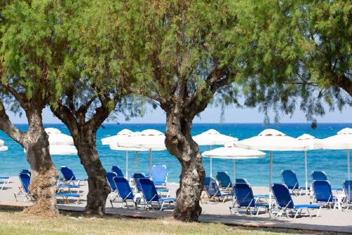 Theologos Hotel | Doreta Beach