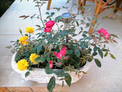 Benitses Apartment | flower garden apartment
