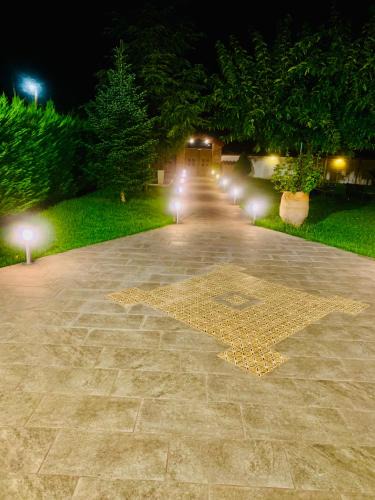 Prokopion House | Forest view evia
