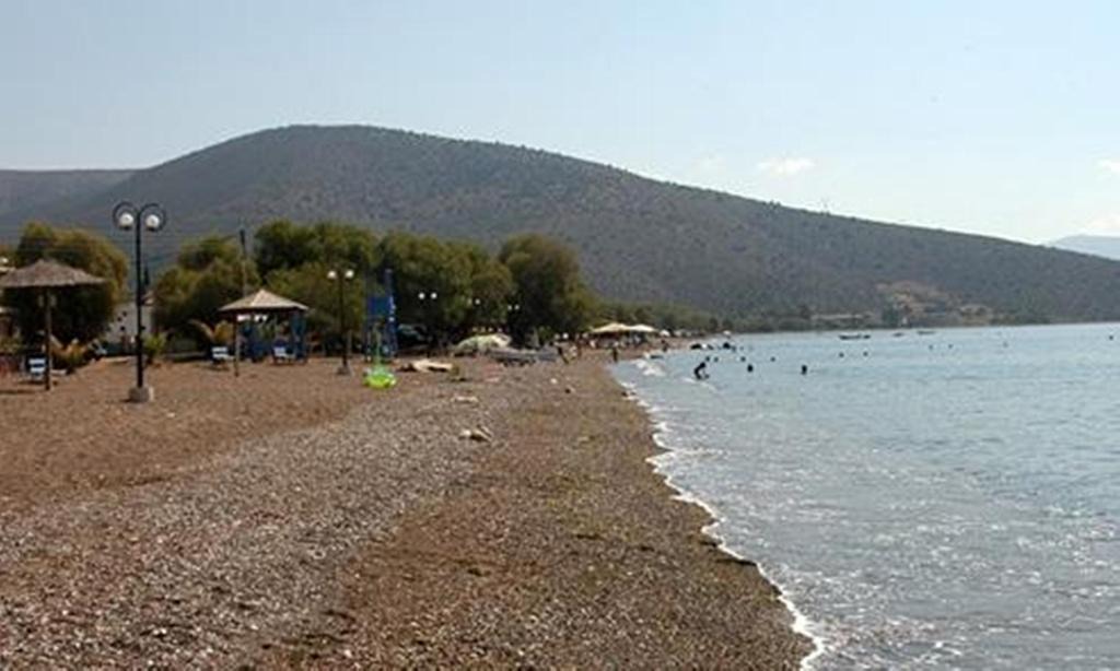 Kandia Hotel | G & K Hotel Fiore di Candia - Λουλούδι της Κάντιας