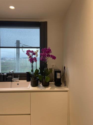Ioannina Apartment | GLAB DEVELOPMENT