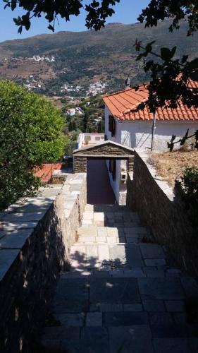 Andros Town Apartment | Green Oasis 2