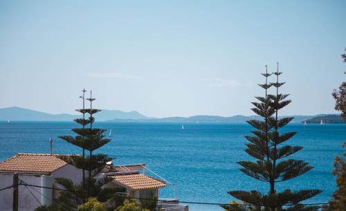Episkopos Hotel | Ionio Hotel