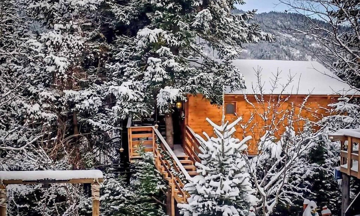 Karpenisi House | Kedra Village Treehouse - Peaceful Forest Views