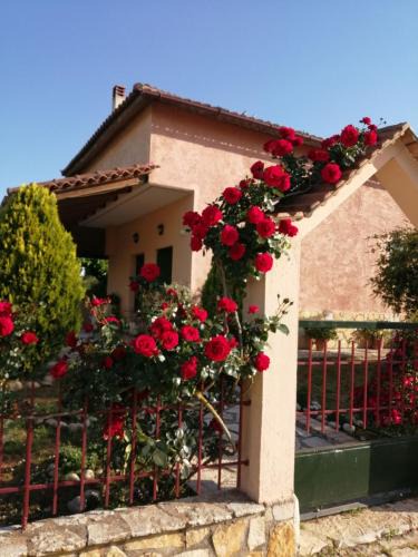 Nea Tirintha House | Monica's Country House
