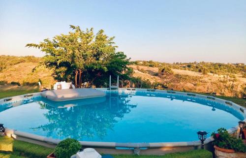 Marathon House | Mountain pool house