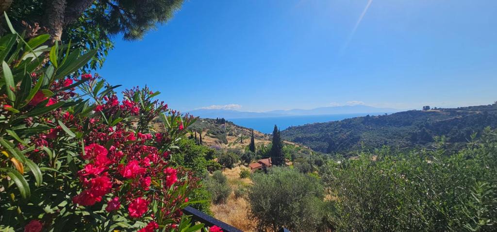 Egira Villa | Peloponnese Hideout - White House with Sea View
