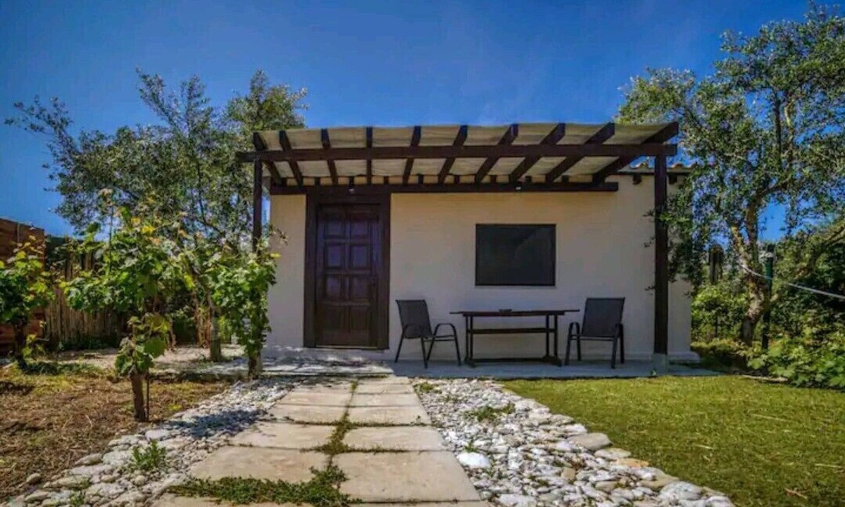 Zakynthos Other | Terra Vine Collection - Raisin House