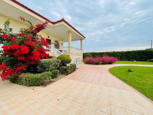 Thermaikos Apartment | The Greek Mama's Cottage