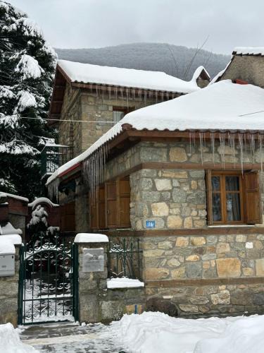 Florina Villa | Urban River House
