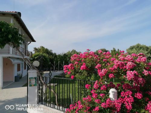 Nea Iraklia House | Villa Anastasia 1ος Όροφος Εξοχικής Παραθαλάσσιας Κατοικίας Νέα Ηράκλεια Χαλκιδικής