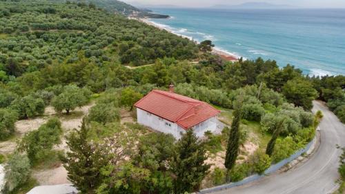 Loutsa Villa | Villa Naturaleza