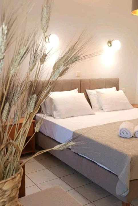 Igoumenitsa Apartment | ZOGRAFOS SPIROS Rooms