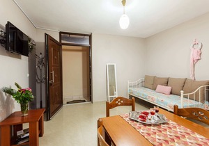 Ino cozy flat, next to the beach in Petalidi