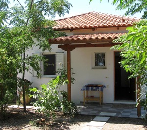Calm Located Olive Grove The Beach Holiday 