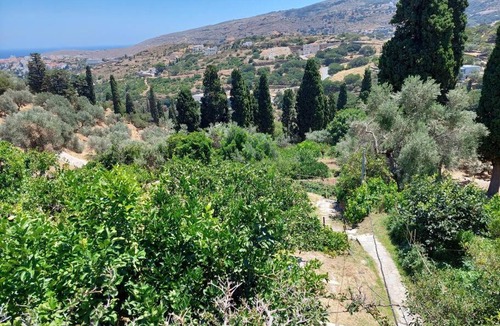 Andros Town House | ΚΑΜΑΡΑ - Παραδοσιακό σπίτι σε αγρόκτημα με θέα