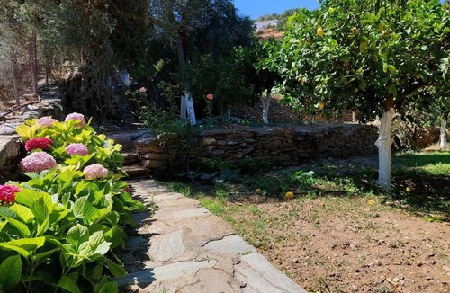 Andros Town House | ΚΑΜΑΡΑ - Παραδοσιακό σπίτι σε αγρόκτημα με θέα