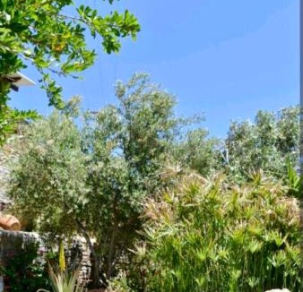 Agios Ioannis Apartment | Πέτρινο
