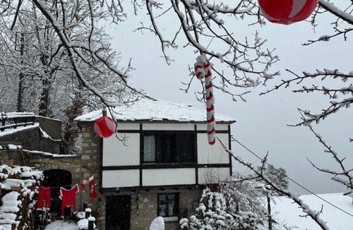 Krikellon House | ΤΟ ΑΡΧΟΝΤΙΚΟ
