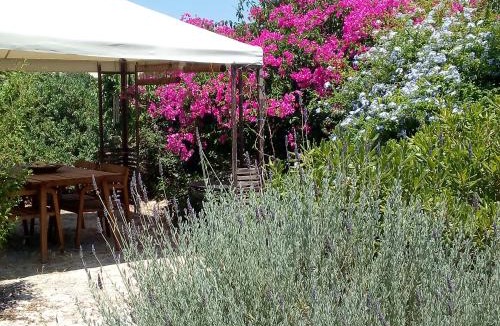 Aegina Town House | Aegina's Oasis