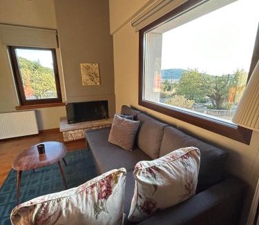 Arachova House | Agiannorema