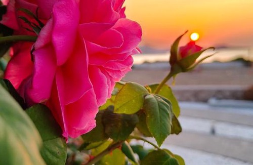 Milos Apartment | Agnanti View Hotel