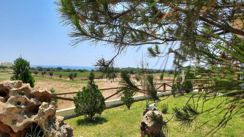 Kounopetra Apartment | Alekos Beach Houses-Angelo