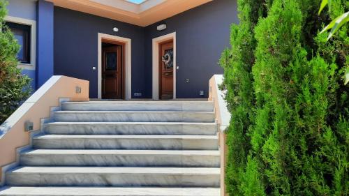 Kounopetra Apartment | Alekos Beach Houses-Angelo