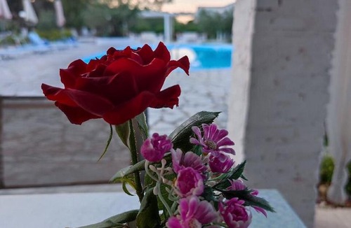 Molos Apartment | alykes family resort 1