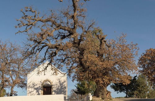 Venerato Villa | Ampela Villa, with Pool, Spa Whirlpool & Heritage