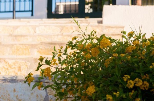 Lakithra House | An excellent country house in Kefalonia