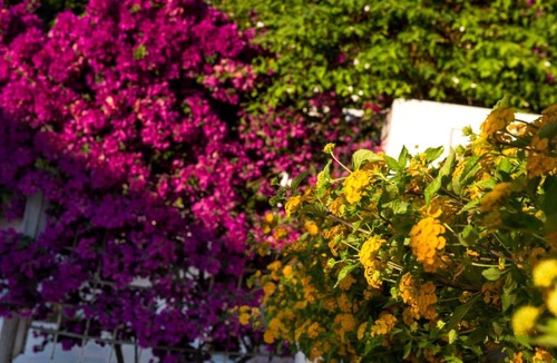 Lakithra House | An excellent country house in Kefalonia