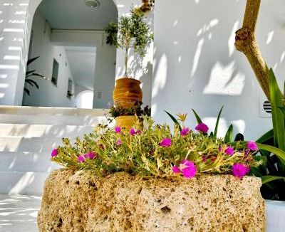 Adamas Apartment | Anita Rooms & Suites Milos