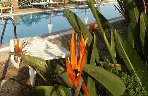 Paleokastritsa Apartment | Apartment in Corfu near the Sea