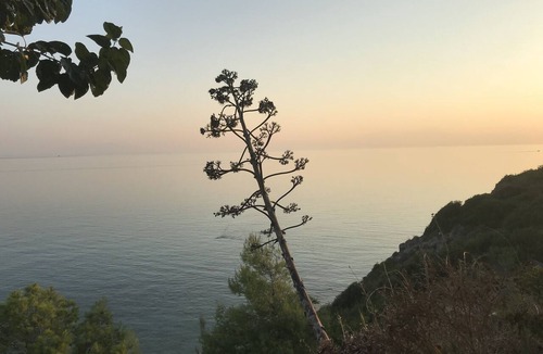 Trilofos Apartment | Apartment with sea view in Chalkidiki