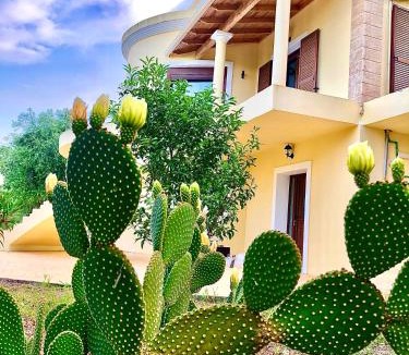 Paleokastritsa Apartment | Armonia Corfu Luxury Apartment