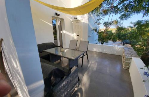 Apollonia House | Black Fig