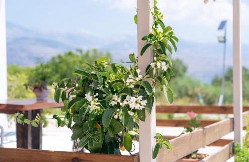 Paliki Apartment | Casa di Colona - Κόκκινο