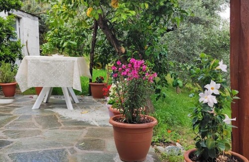 Zagora-Mouresi Apartment | Citrus Home
