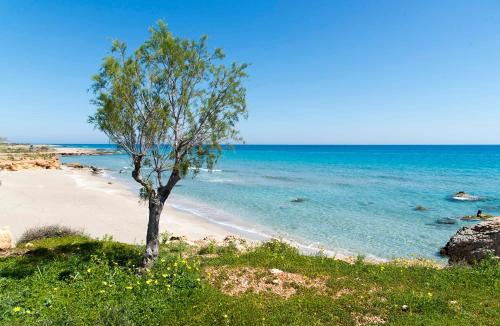 Xerokampos Apartment | Coastal Charm-Getaway to Artichoke's Seaside Oasis